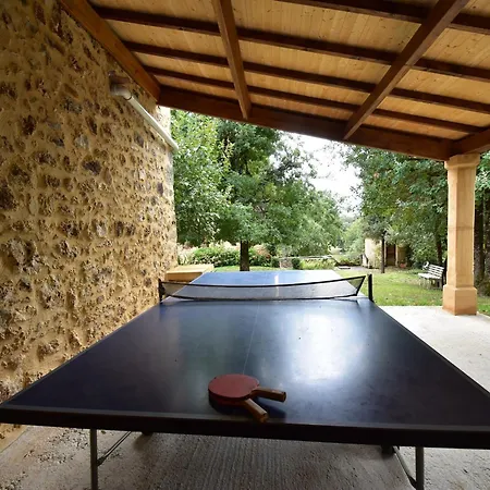 펜션 Luxurious In Domme With Swimming Pool